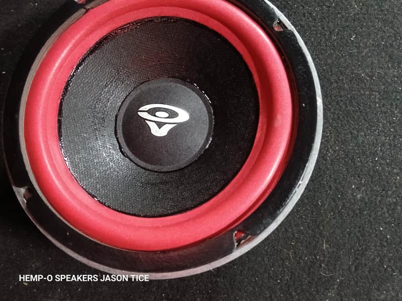 CERWIN VEGA 8" WOOFER 81W4 PERFECT/ FRESH SURROUND/CAP DONE CORRECTLY AT PMR image 1