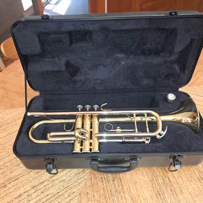 Bach BTR201 Student Premium Bb Trumpet 2021 - Present - Lacquered Yellow Brass image 1