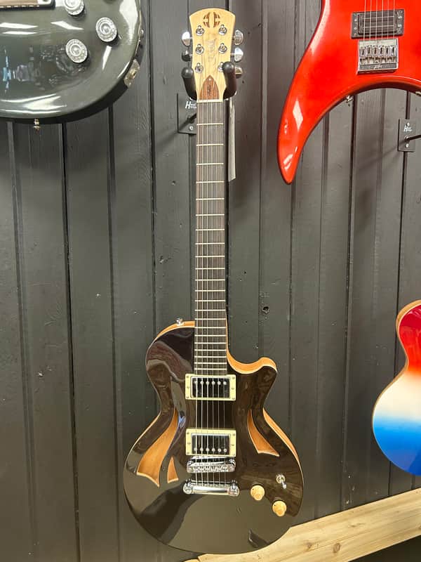 CMG  Ashlee Semi-Hollow 2023  W/gig bag image 1
