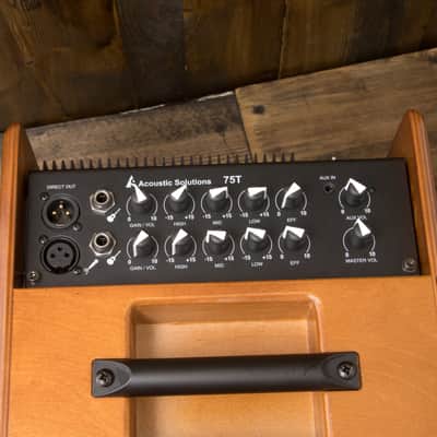 Godin Acoustic Solution ASG-75 watt Wood 2 Channel Acoustic Guitar Amp image 5