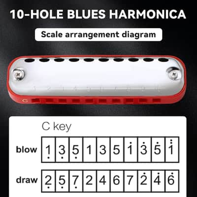 Blues Harmonica for Students Adult Beginners 10 Hole Diatonic Harmonica Key of C, Brass Reed Metal Mouth Organ C Key with Case, Red image 2