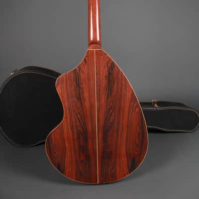 1970's Giannini Craviola Brazilian AWKN6 image 15