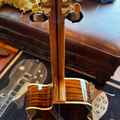 Zager ZAD-900CE 50th Anniversary Edition - Sunburst Fishman Aura Pro Pickup image 3