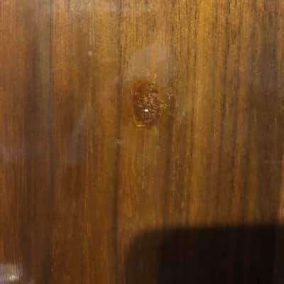 Alcantara Espana Concierto II 1995 Natural Classical Guitar Solid Cedar / Walnut image 8
