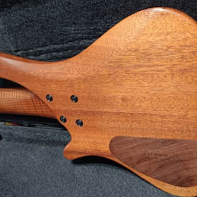 Corpus Buddy Bass 5 Strings - Lodato Guitars Handcrafted image 9