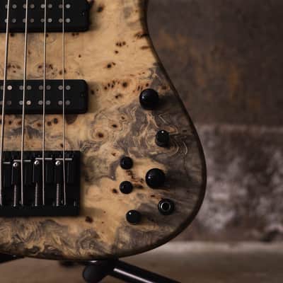 Fodera Emperor 5 Standard Special Buckeye Burl Butterfly (End-2024) image 5