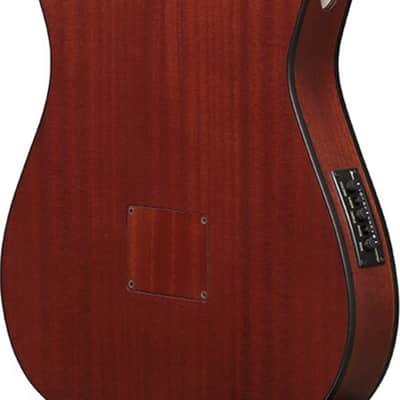 Ibanez FRH20SMN Thinline Acoustic-Electric Classical Guitar, Spalted Maple Top, Tobacco Burst image 4