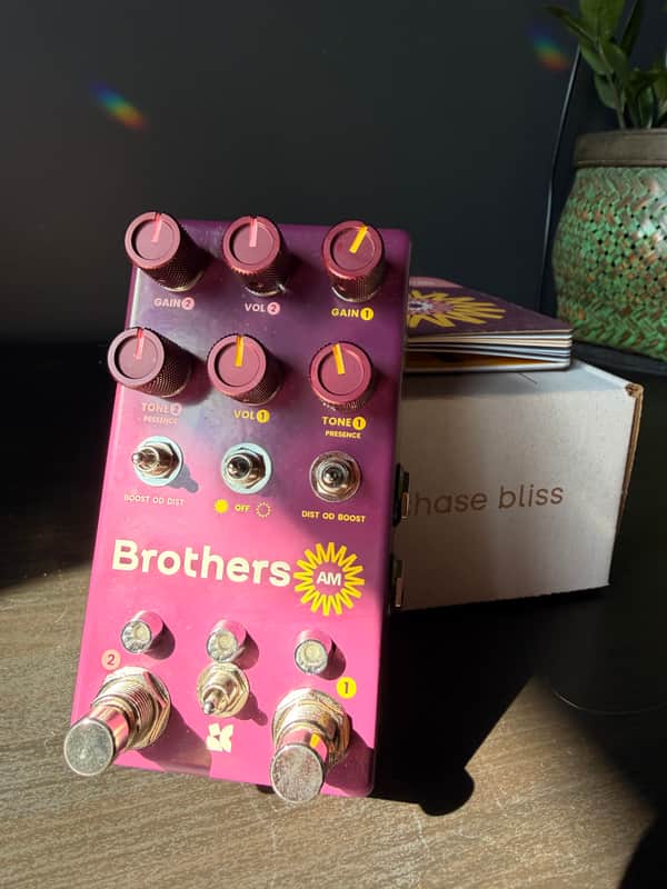 Chase Bliss Audio Brothers AM