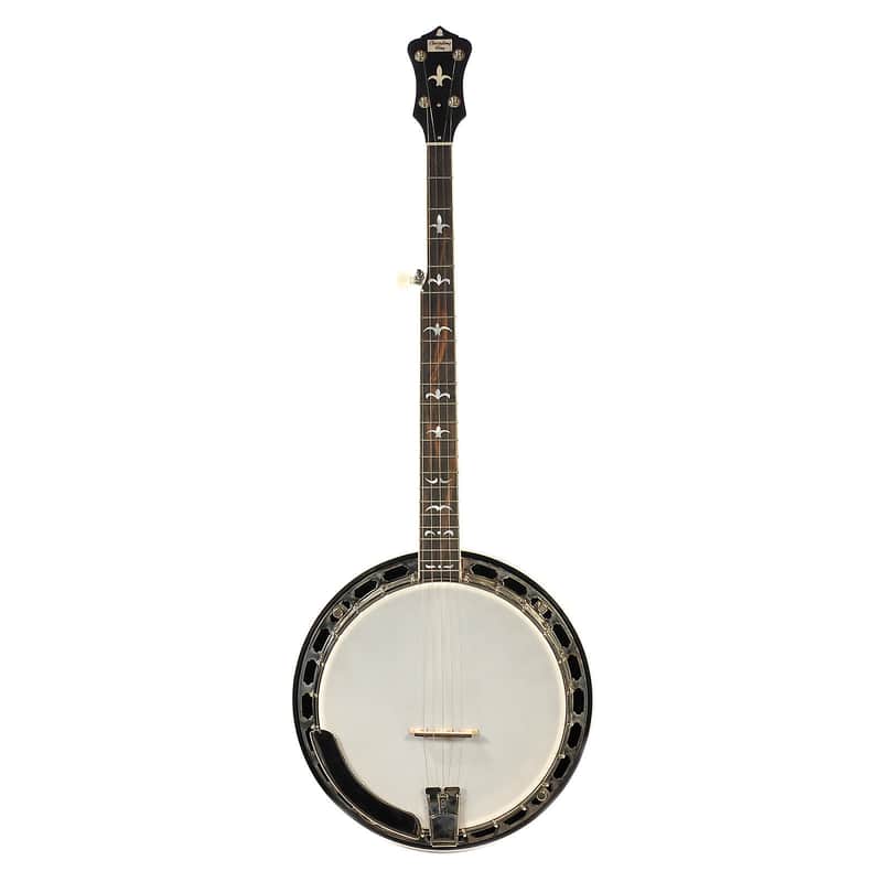 Recording King RK-R35 Madison 5-String Resonator Banjo image 2