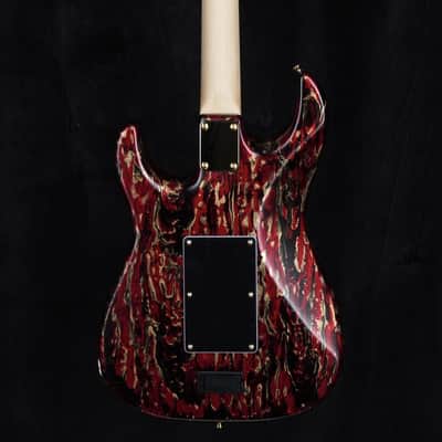 James Tyler Studio Elite HDX - Sanctuary Shmear Custom with Floyd Rose Tremolo image 8