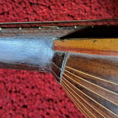 CATANIA SILVESTRI Sicilian concert mandolin with modern fretboard  1900s image 12