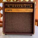very nice, very clean US-Made Crate CA30 30-Watt 1x8" two-input Acoustic Guitar Combo w/ Chorus