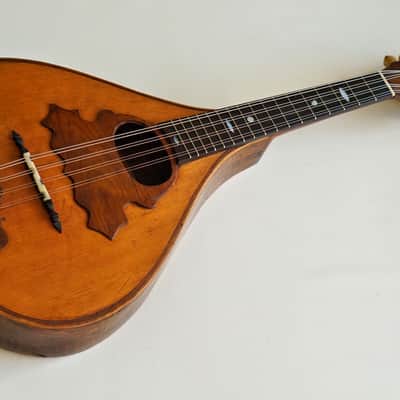 Mandolin by J. Murthwaite Newcastle 1901 image 4