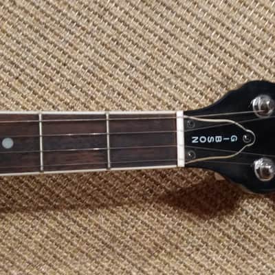 Epiphone Banjo 5 cordes 2000 - Acajou et touche palissandre image 2