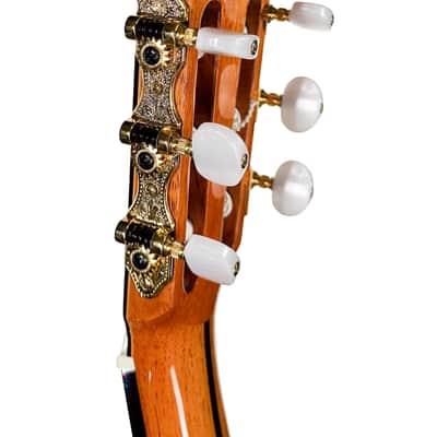 6 String Contrabass Guitar (Octave Bass) - Esteve PS75 - All Solid Wood/Cedar/Indian Rosewood - 750mm Scale Length image 6