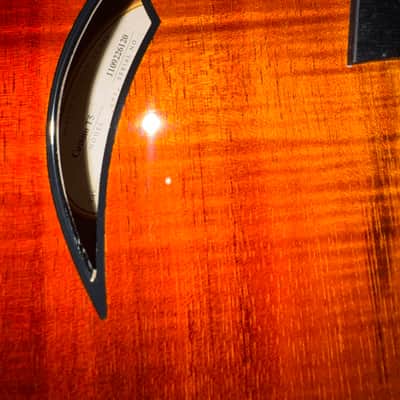 The Ultimate Hybrid: Taylor T5 Custom Shop – Figured Hawaiian Koa image 2