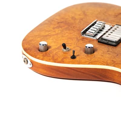 Hamburguitar Tele Style Guitar Owned by Mike Campbell image 13