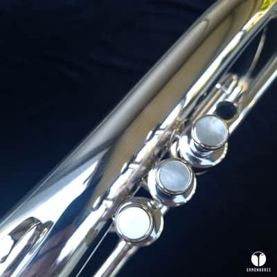Rare E. Benge Resno Tempered Bell 5 flugelhorn The Mangione Sound  | Gamonbrass image 8