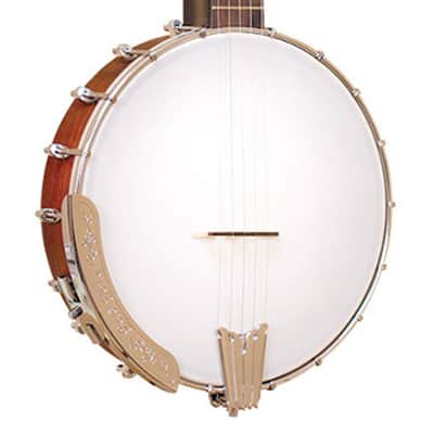 Gold Tone CC-50 Beginners Openback Banjo Lefty image 1
