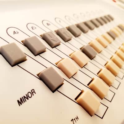 CERTIFIED!!! SUZUKI OMNICHORD OM300 INSPECTED/SERVICED AND IN AMAZING CONDITION! image 10