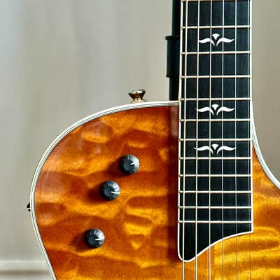 Taylor T5 image 3