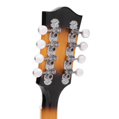 Gold Tone GM-50+: A-Style Mandolin with Pickup and Bag image 7
