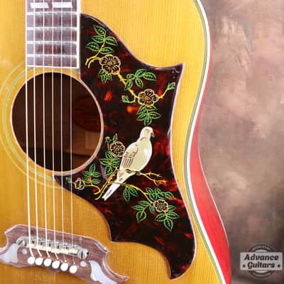Gibson 1963 DOVE [Shipping Free〜8/31] image 14