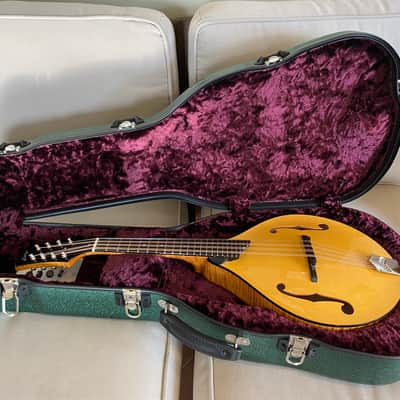 Collings Mandola 2023 - Honey Amber image 3