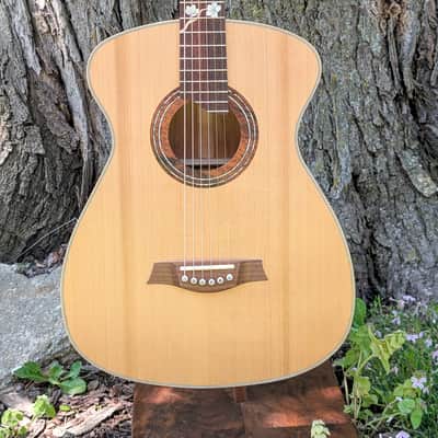 Van Gundy Customs The Spring Falcate Braced Acoustic Guitar image 1
