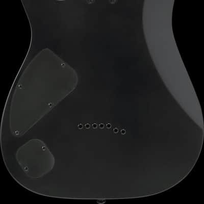 Ibanez RG Iron Label 6 String Electric Guitar - Black Flat (RGIXL7BKF) image 9