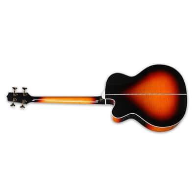 Takamine GB72CE G Series Electro-Acoustic Bass - Rosewood Fingerboard, Brown Sunburst image 4