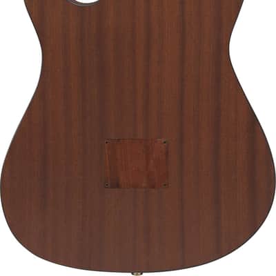 Ibanez Frh10 N Ntf image 2