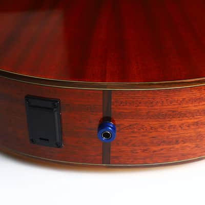 Schertler SM Acoustic Guitar – A Rare Gem in Electro-Acoustic Innovation - check video! image 11