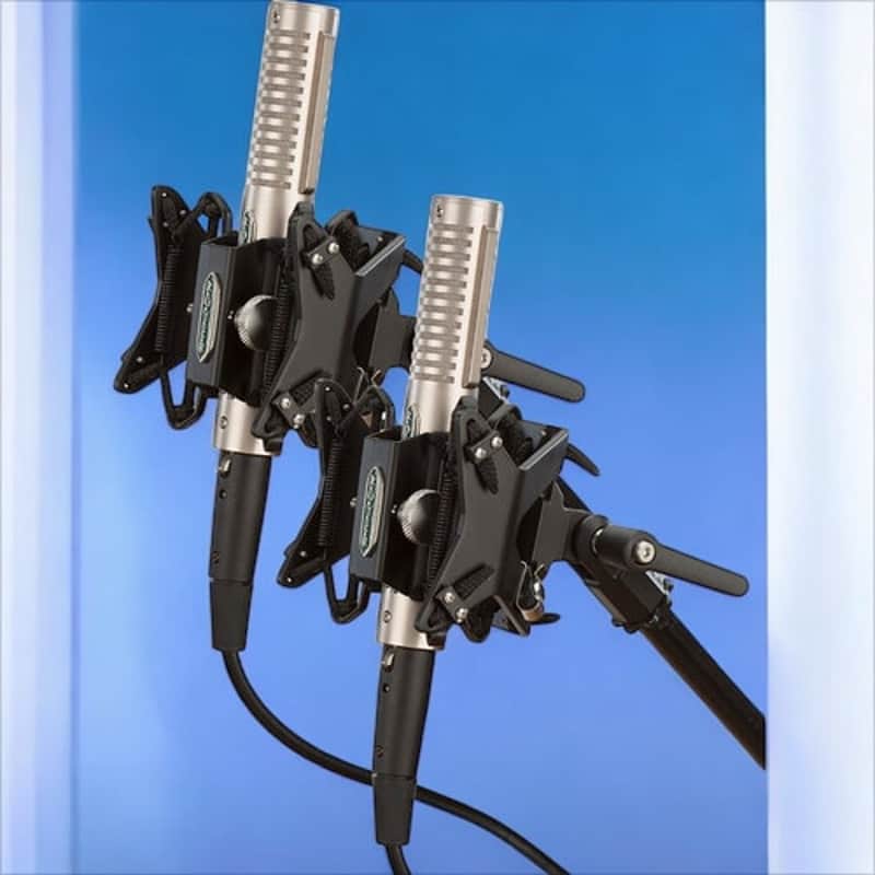 Royer Labs R-121 Matched Pair Ribbon Microphone Bundle with Two RSM-SS1 Sling-Shock Shockmounts image 1