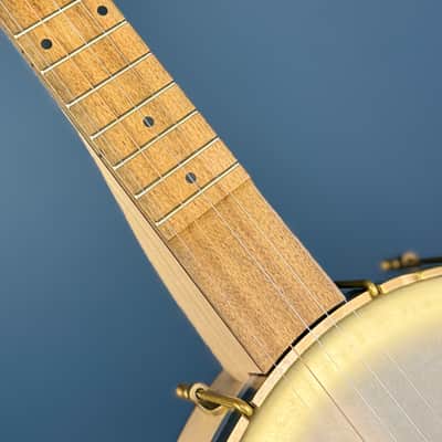 Pisgah Maple Dobson 12" Openback 5-String Banjo image 17