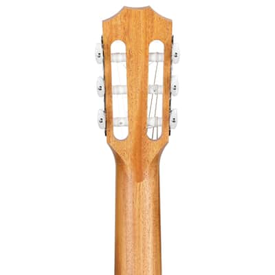 Taylor 214ce-N-v2 Grand Auditorium Classical Acoustic-Electric Guitar image 8