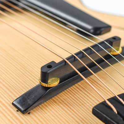 Eastman PG2 Pagelli Archtop Recent image 7