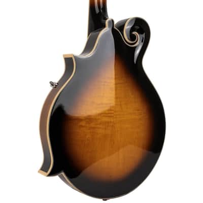 Gold Tone GM-70+ F-style mandolin - NEW Solid Wood w/ CASE image 9