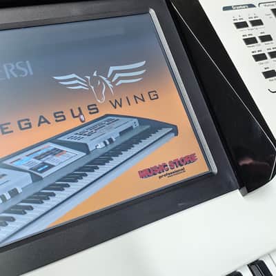 Wersi Pegasus Wing ✅ Professional Arranger Keyboard & Drawbar organ ✅ Classic German Workstation ✅ Cleaned & Fully Checked ✅ 61-Key Performance Keyboard ✅ Worldwide Shipping image 6