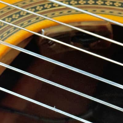 Cordoba Pro R Classical Guitar - Acoustic/Electric - LR Baggs Pickup - Hardcase image 7