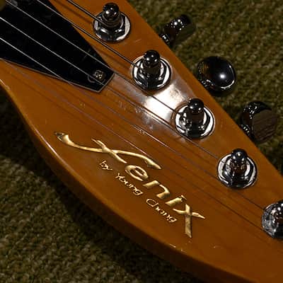 Fenix Young Chang TM Tele - Archtop with Schaller Piezo Bridge image 8