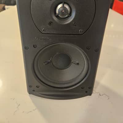 Definitive Technology AW-111 Outdoor Speakers. Passive All-weather Outdoor (Black, Pair), Two-Way, 5.25" Woofer, 1" Tweeter image 4