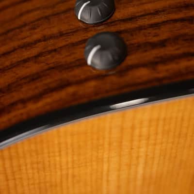 Taylor 210ce Plus Dreadnought Acoustic/Electric Guitar with Aerocase image 13