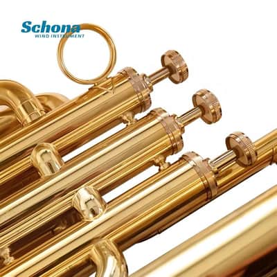 SCHONA BBS-31G/31N - Tuba in Bb with Three Vertical Keys Lacquer Gold/nickel - Plated Finish image 5