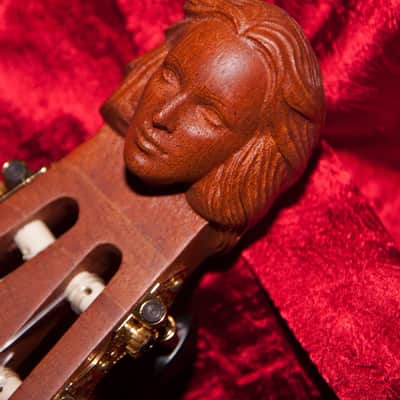 Roosebeck GLNVG | Lute-Guitar, 6 String, Variegated, Gears. New with Full Warranty! image 4