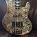 Sandberg California TM5 2006 - Buckeye Burl