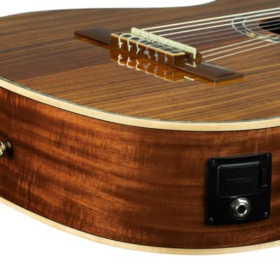 Ortega RE30TH-ACA 30th Anniversary Series AAA Acacia Top Nato Neck Nylon 6-String Classical Acoustic-Electric Guitar w/Gig Bag image 15