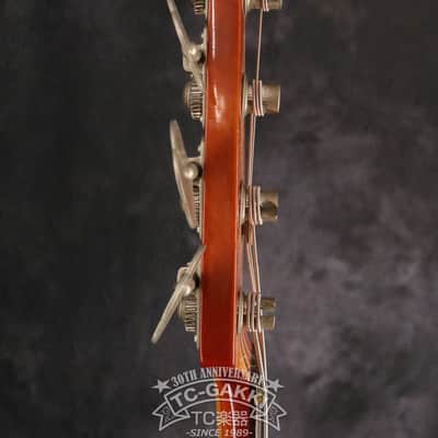 Fernandes 1979-1981 FPM-100 image 12