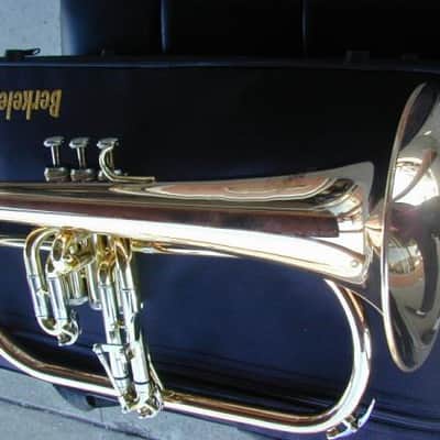 Berkeleywind Bb Rose Brass Flugelhorn ( Vertical Valves ) image 3