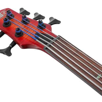 Ibanez SRD905F-BTL Bass Workshop SR Electric Bass 5-String Fretless - Brown Topaz Burst Low Gloss image 5